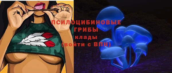 каннабис Белокуриха