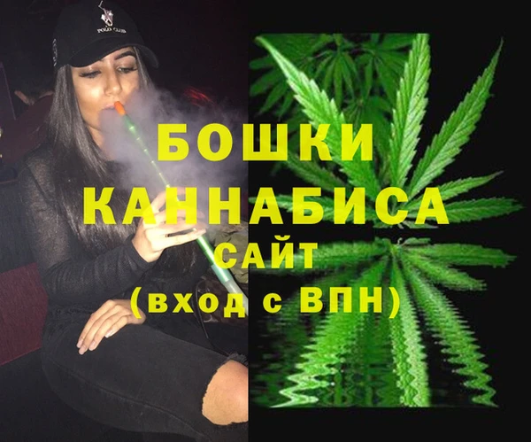 шишки Магас